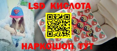 крисы Краснознаменск