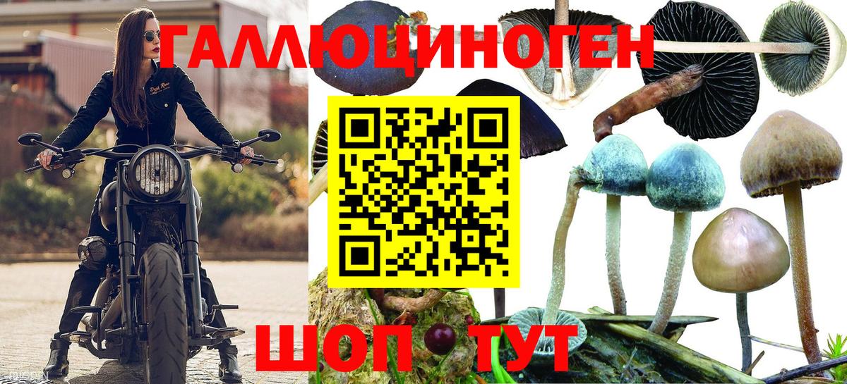 Псилоцибиновые грибы мицелий  Вход с VPN  Шадринск  Галлюциногенные грибы Psilocybine cubensis 