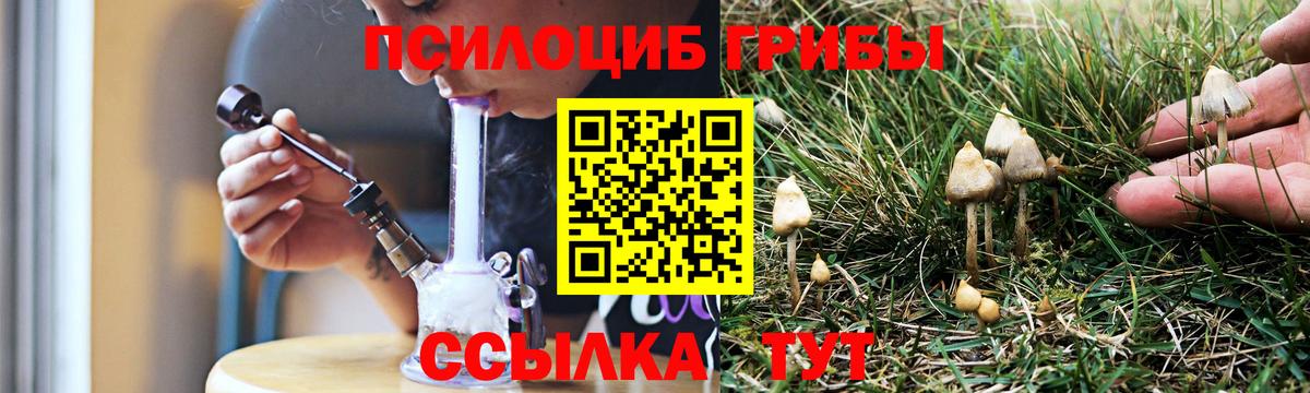 Галлюциногенные грибы прущие грибы Шадринск